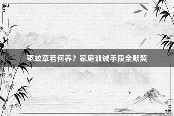驱蚊草若何养？家庭训诫手段全默契